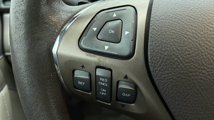 LINCOLN MKX-Cruise Control