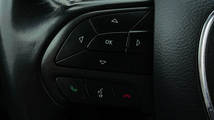 DODGE CHARGER-Drivers Control