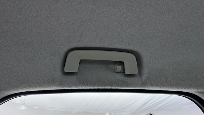 FORD ECOSPORT-Ceiling Roof lining torn/dirty