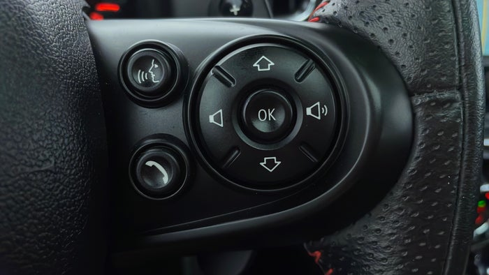 MINI COUNTRYMAN-Drivers Control