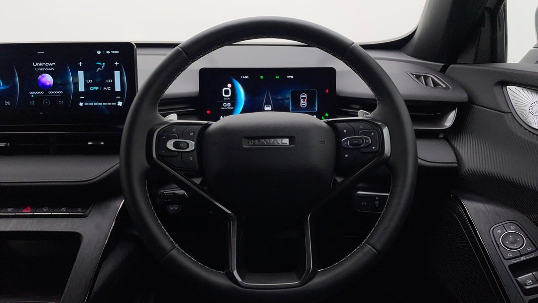 Steering Wheel Close-up