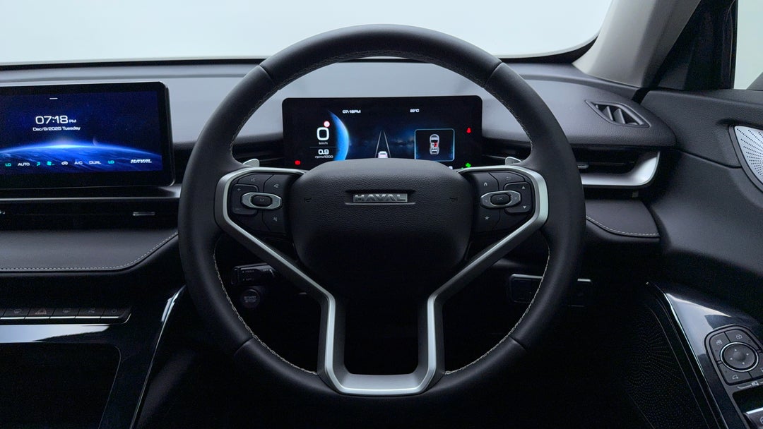 Steering Wheel Close-up