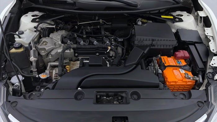 NISSAN ALTIMA-Engine Bonet View