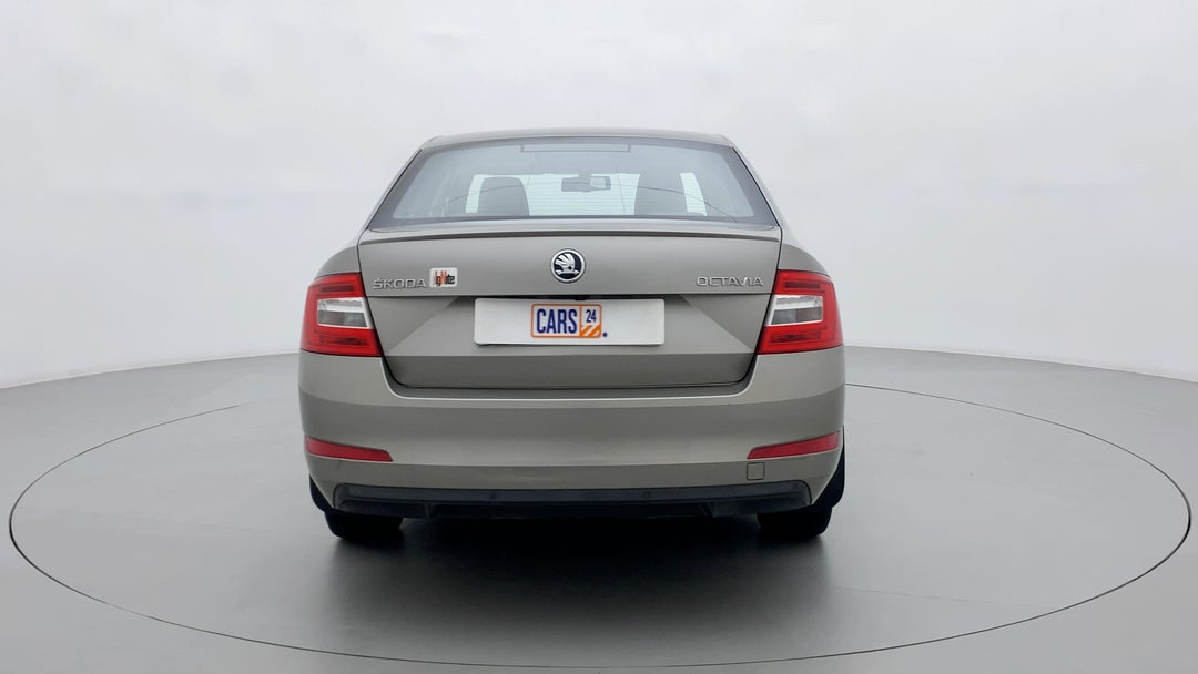Back/Rear