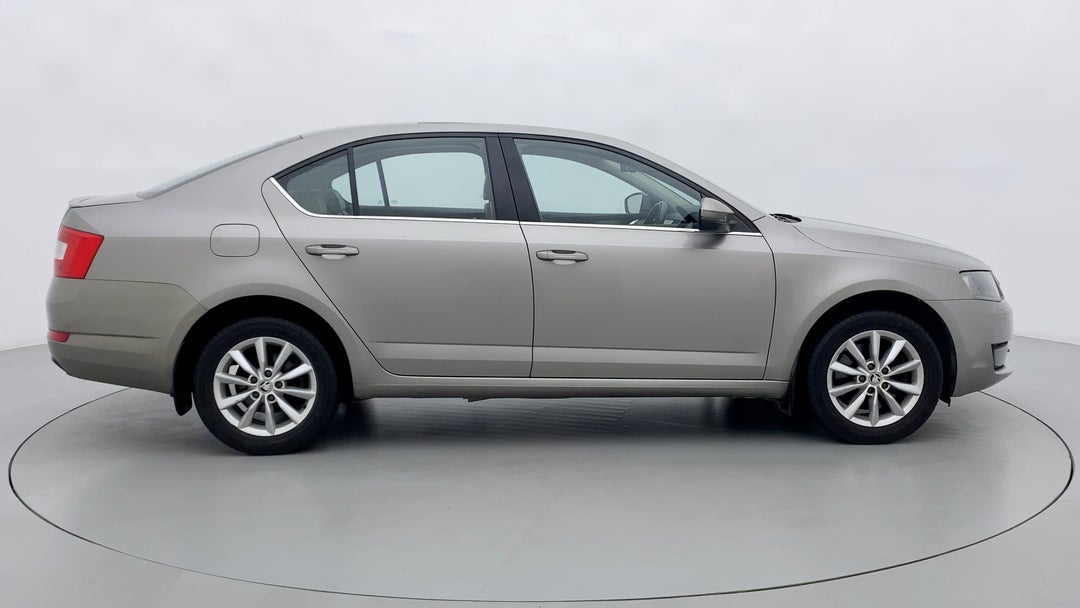 Right Side View