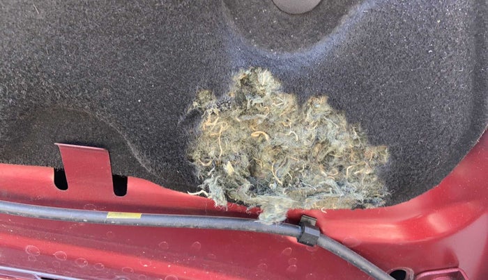 2019 Ford FREESTYLE TITANIUM + 1.2 TI-VCT, Petrol, Manual, 31,802 km, Bonnet (hood) - Insulation cover has minor damage