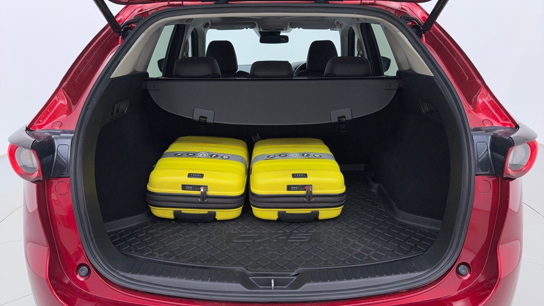 Boot Inside View with Luggage