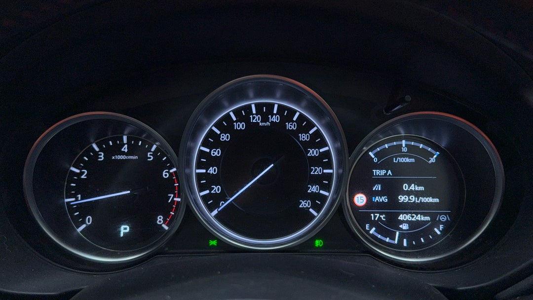 Odometer View