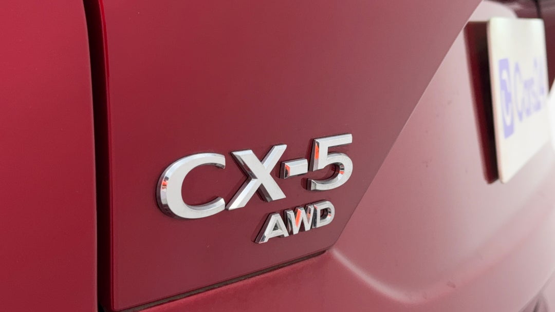 Badge (Boot Left Side)