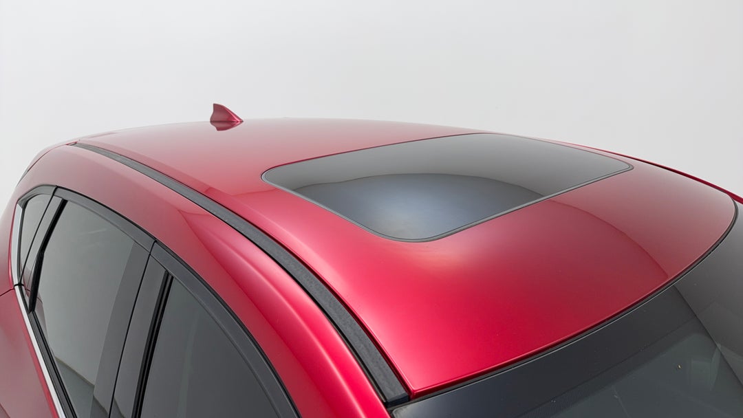 Roof/Sunroof View