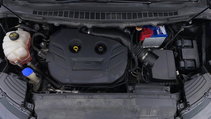 FORD EDGE-Engine Bonet View