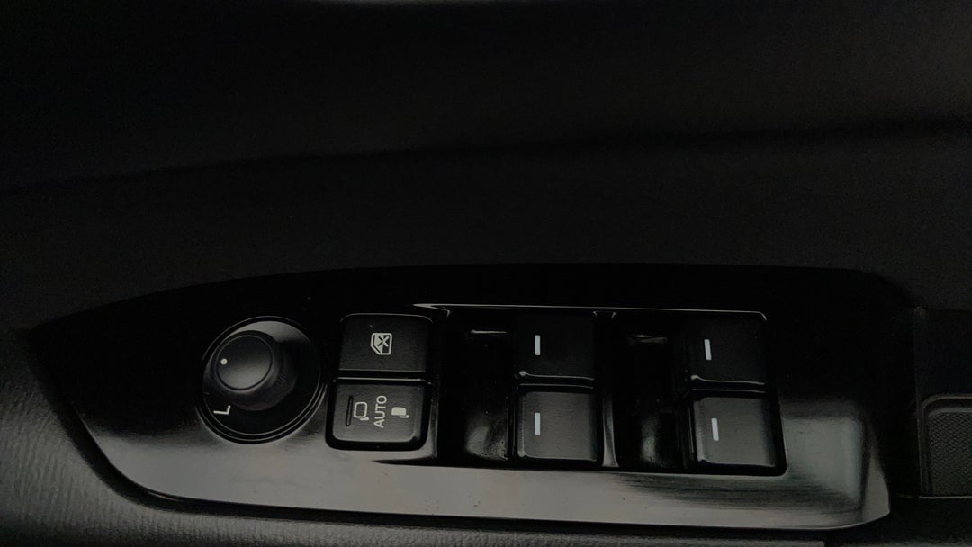 Drivers Side Door Panel Controls