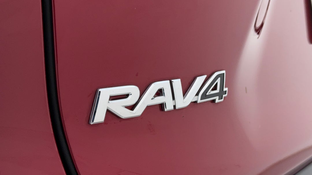 Badge (Boot Left Side)