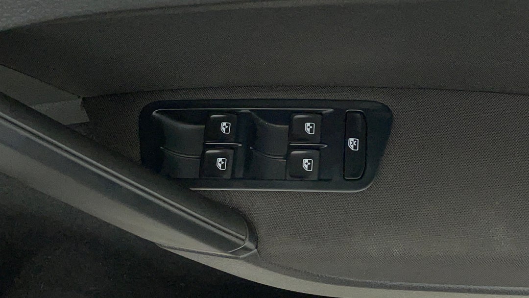 Drivers Side Door Panel Controls