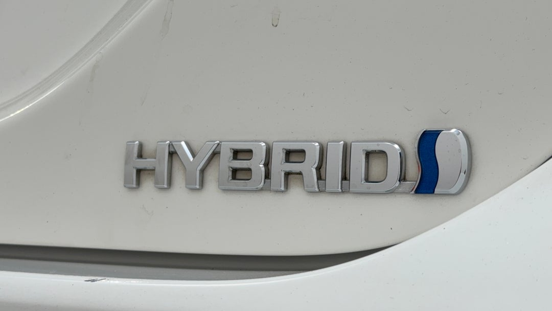 Badge (Boot Right Side)