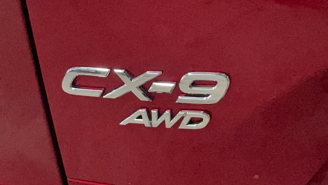 Badge (Boot Left Side)