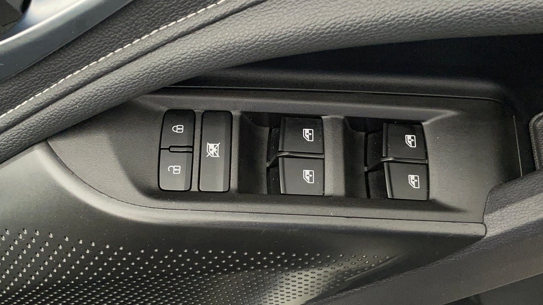 Drivers Side Door Panel Controls
