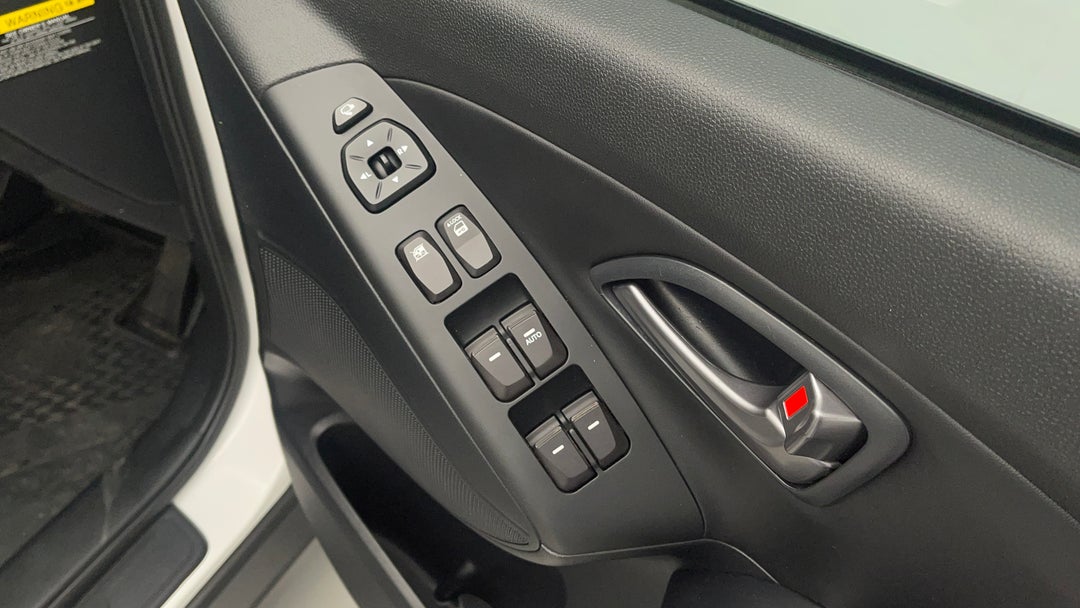 Drivers Side Door Panel Controls