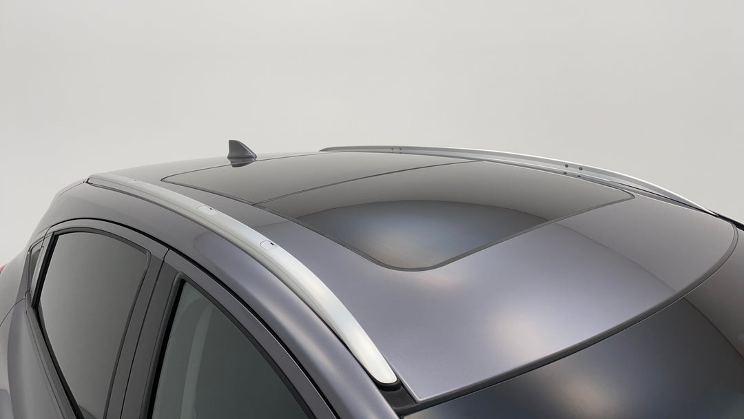 Roof/Sunroof View
