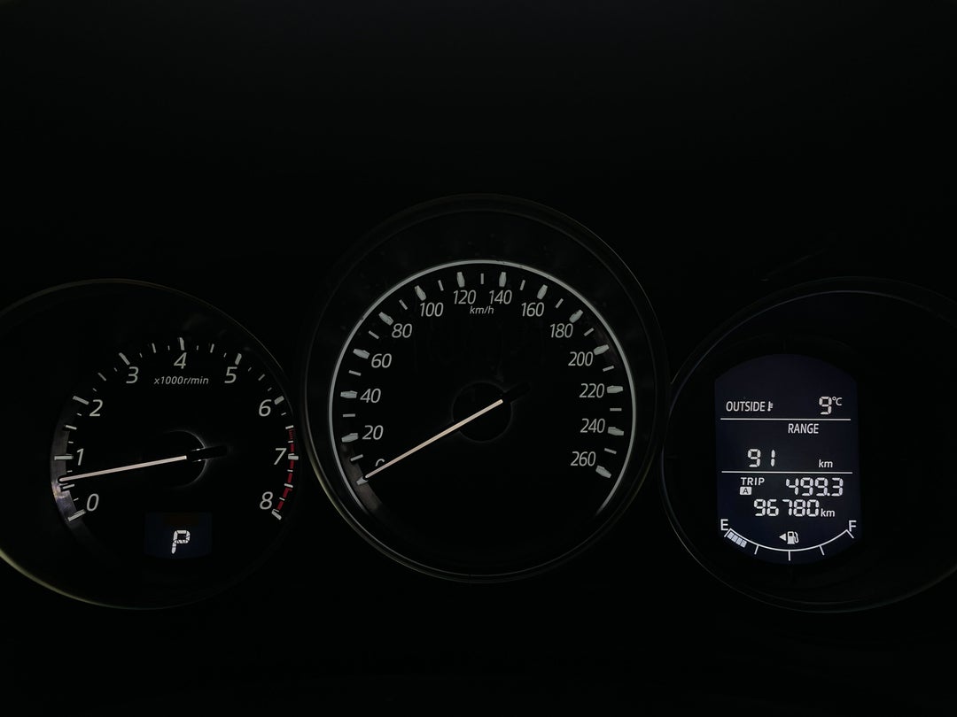 Odometer View