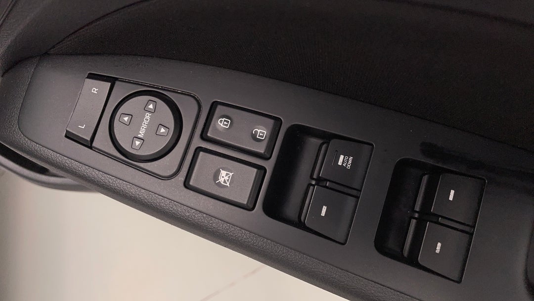Drivers Side Door Panel Controls