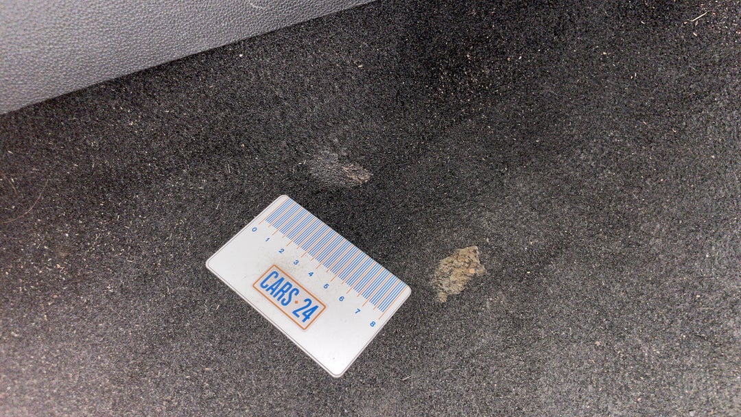 Floors / Carpets Stain