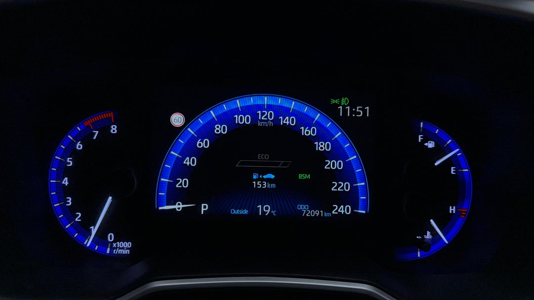 Odometer View