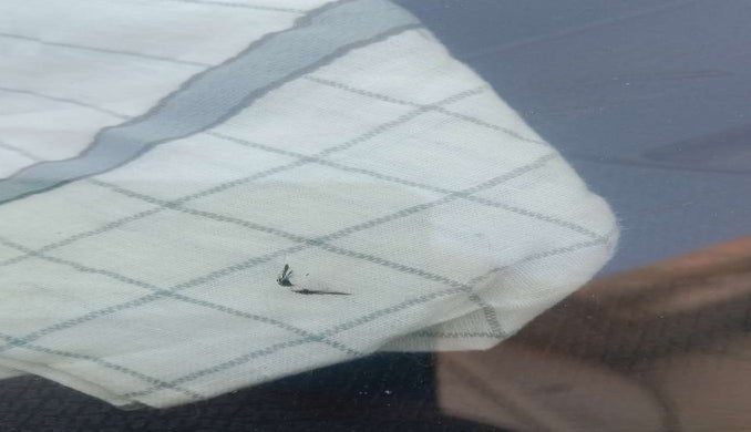 2019 Maruti Vitara Brezza ZDI AMT, Diesel, Automatic, 81,176 km, Front windshield - Minor spot on windshield