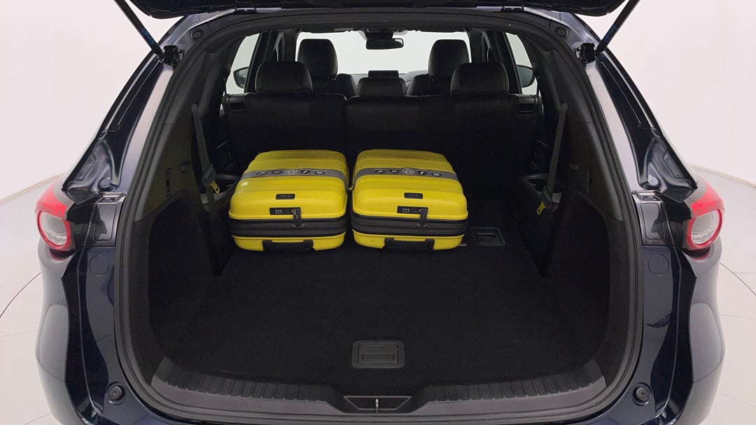 Boot Inside View with Luggage