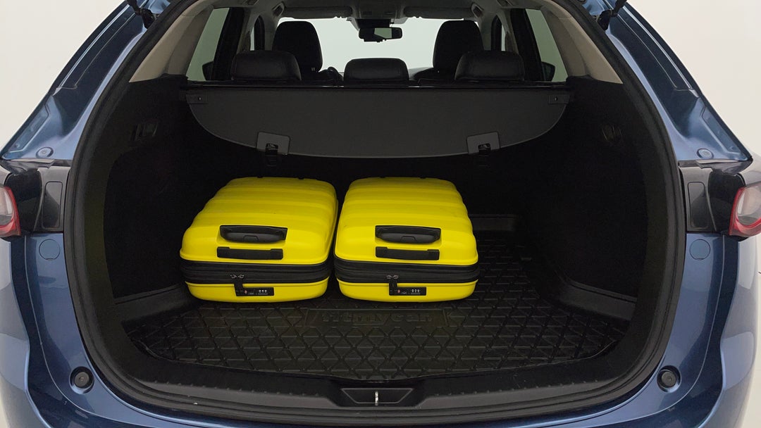Boot Inside View with Luggage