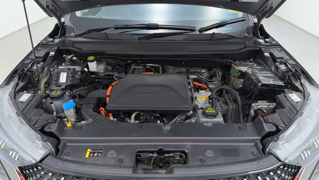 Open Bonnet (Engine)