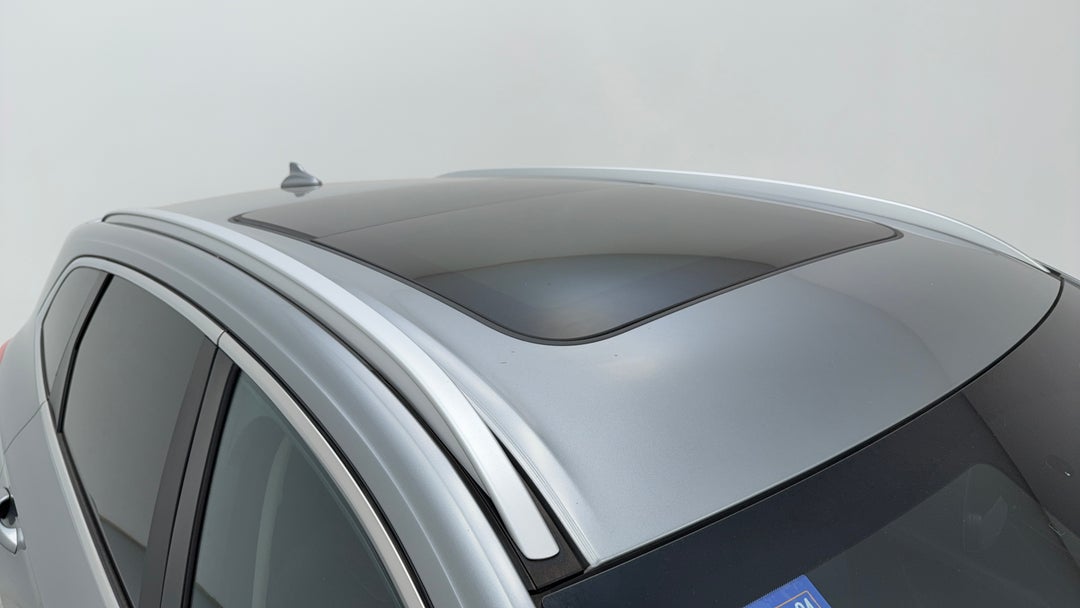 Roof/Sunroof View