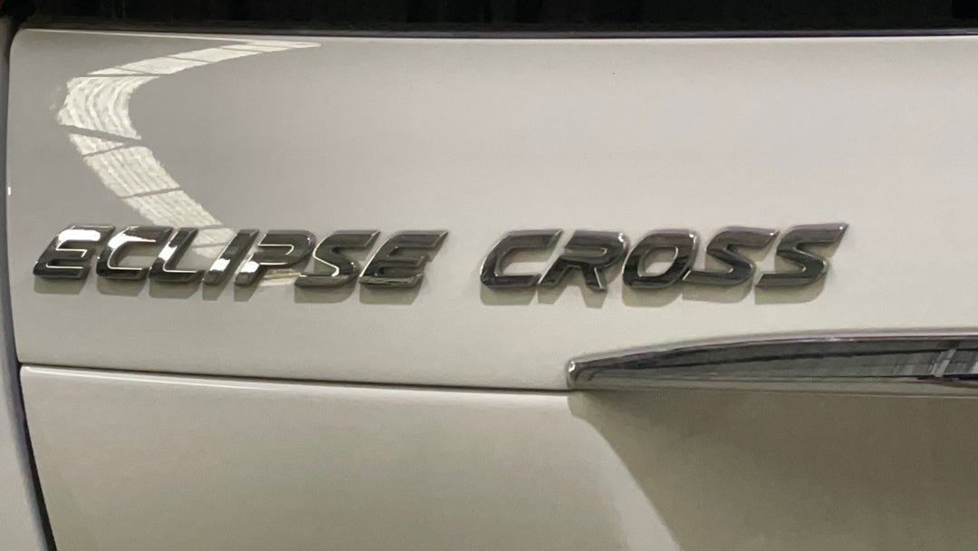 Badge (Boot Left Side)