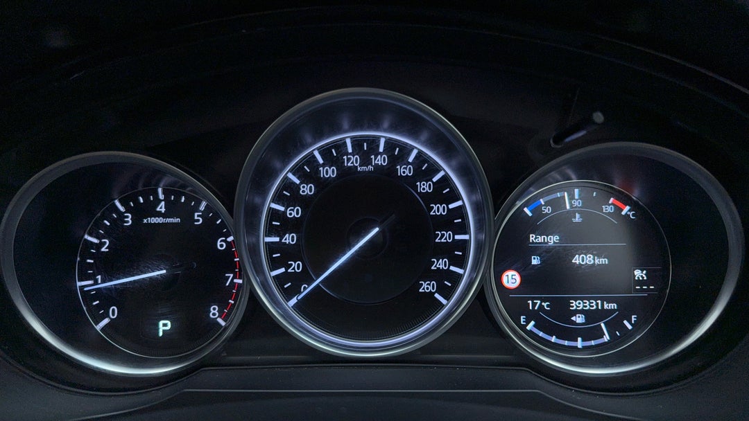 Odometer View