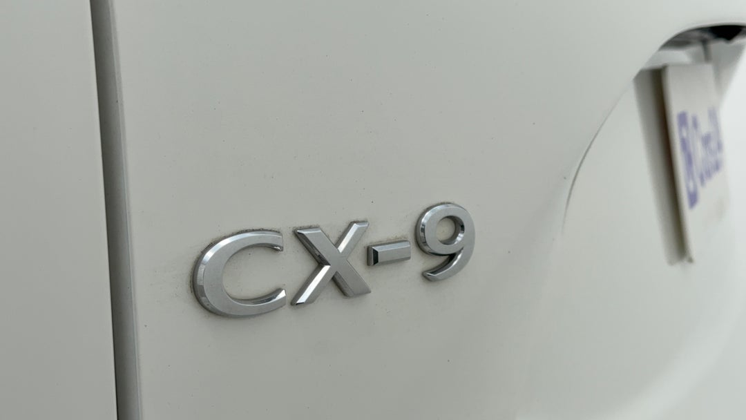 Badge (Boot Left Side)