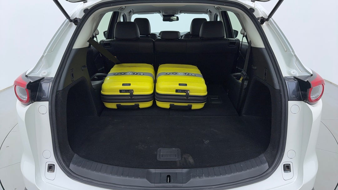 Boot Inside View with Luggage