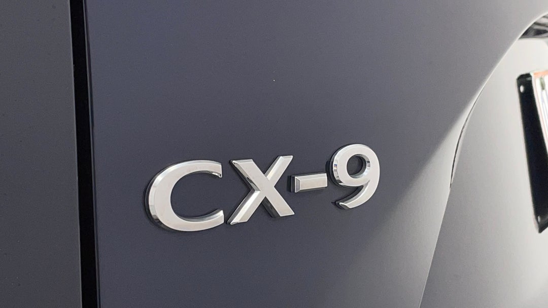 Badge (Boot Left Side)