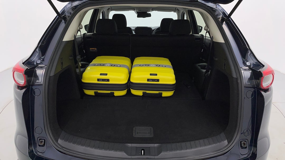 Boot Inside View with Luggage