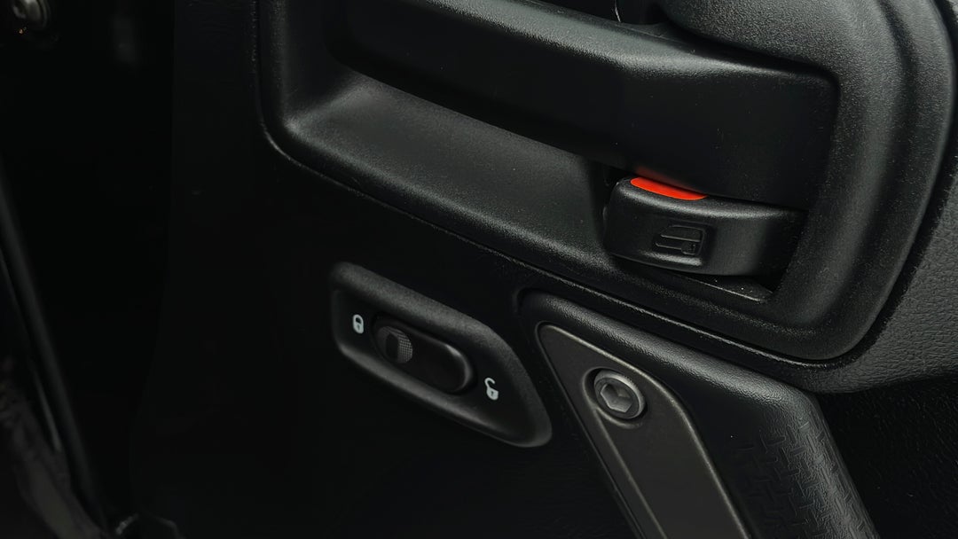 Drivers Side Door Panel Controls