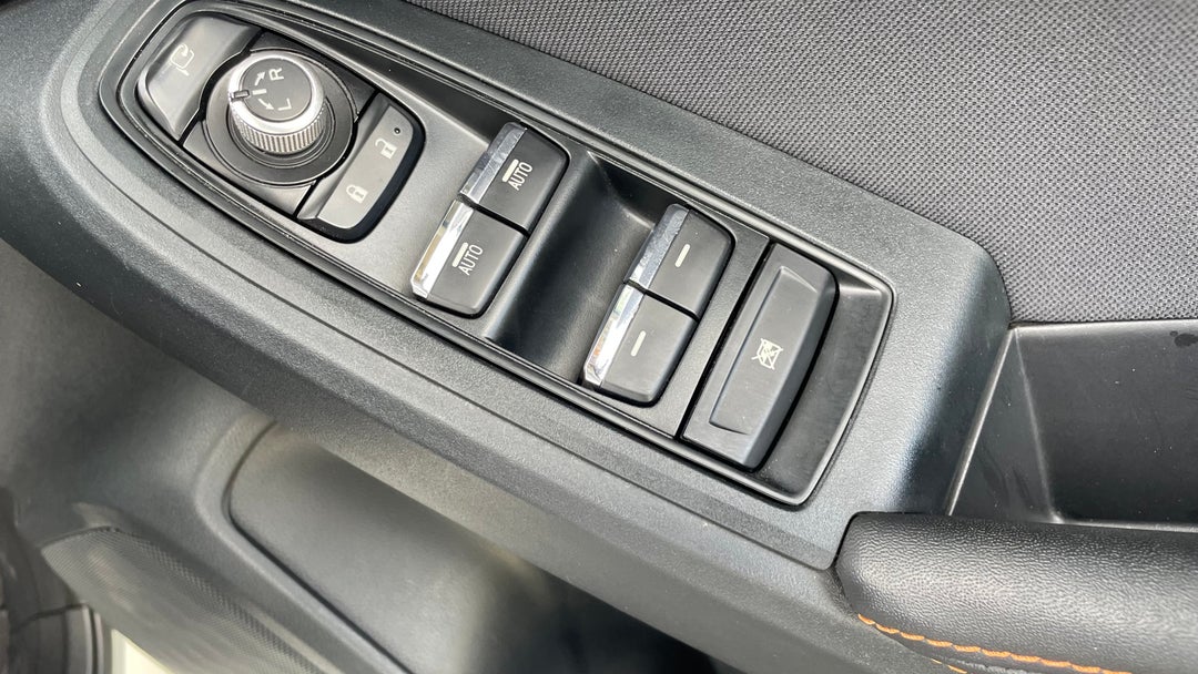 Drivers Side Door Panel Controls