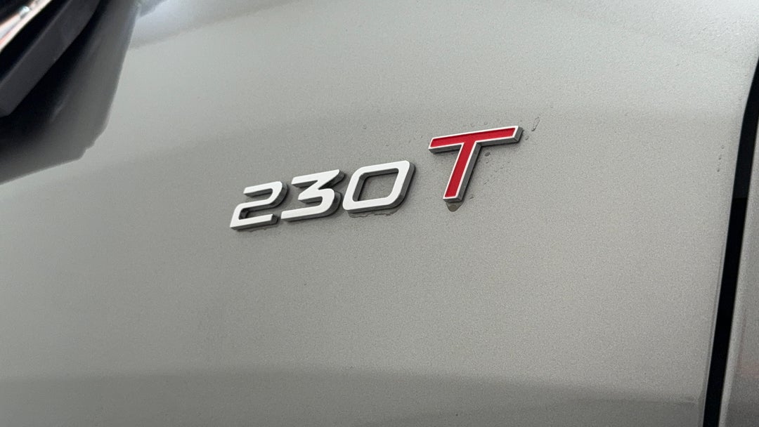 Badge (Boot Right Side)