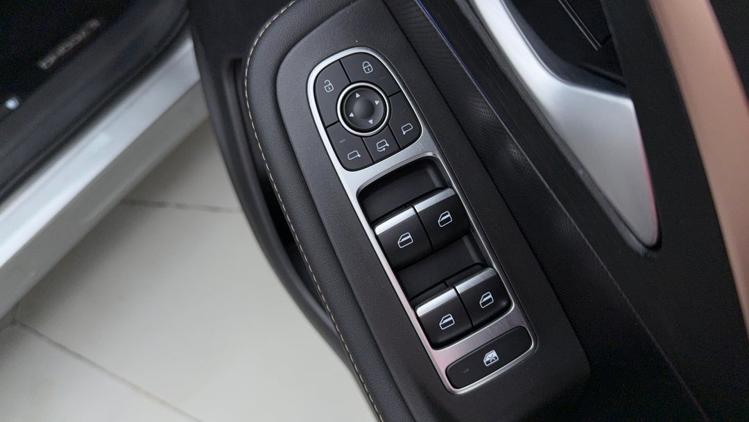 Drivers Side Door Panel Controls
