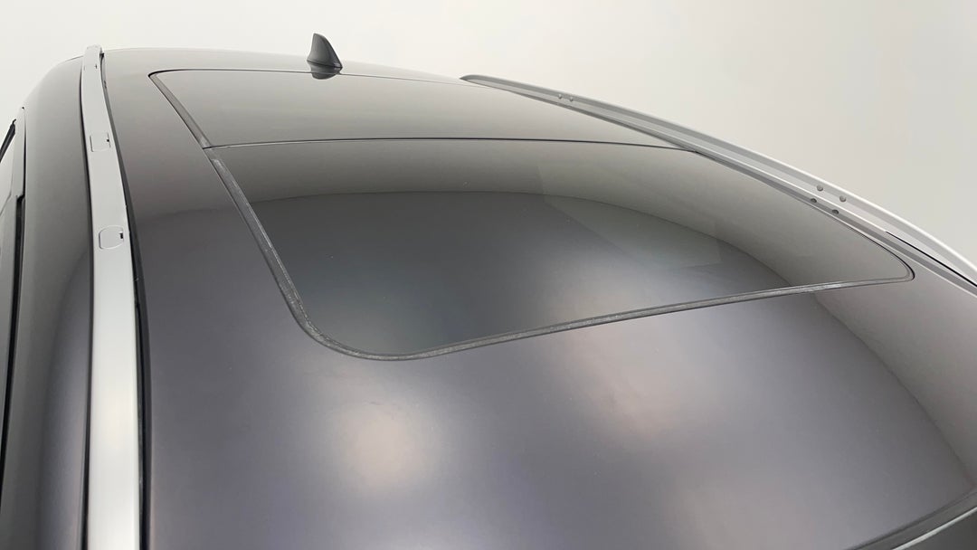 Roof/Sunroof View