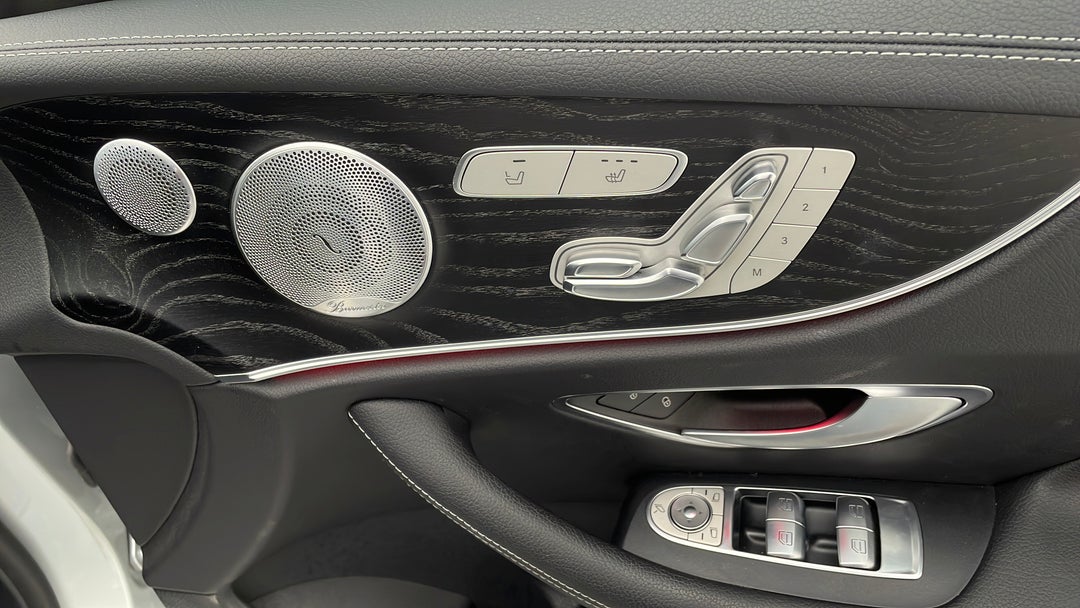 Drivers Side Door Panel Controls