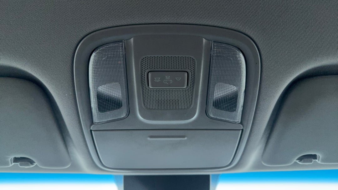 On-Roof Controls/Sunglass holder