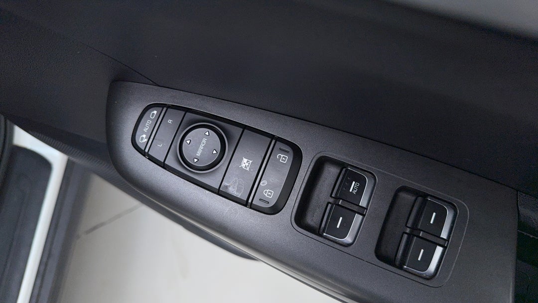 Drivers Side Door Panel Controls