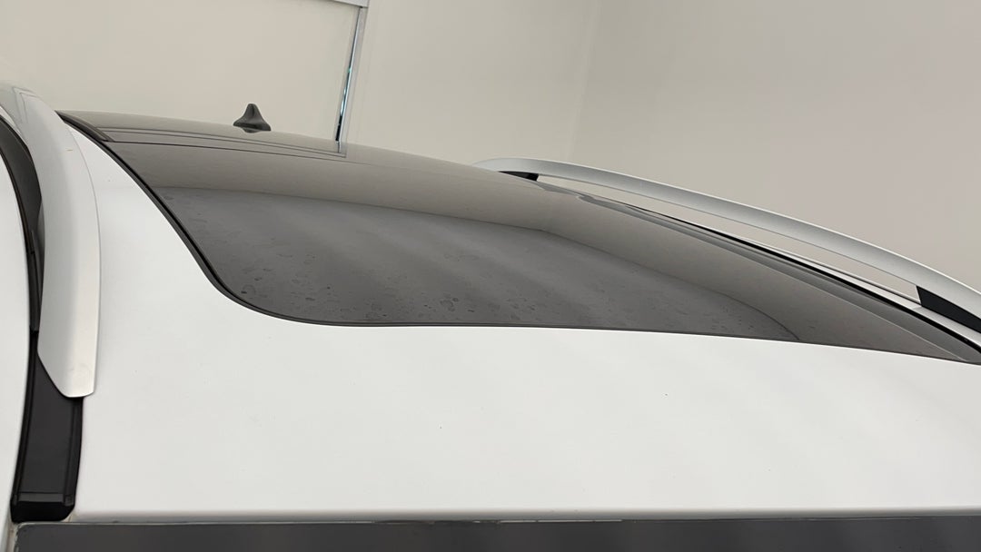 Roof/Sunroof View
