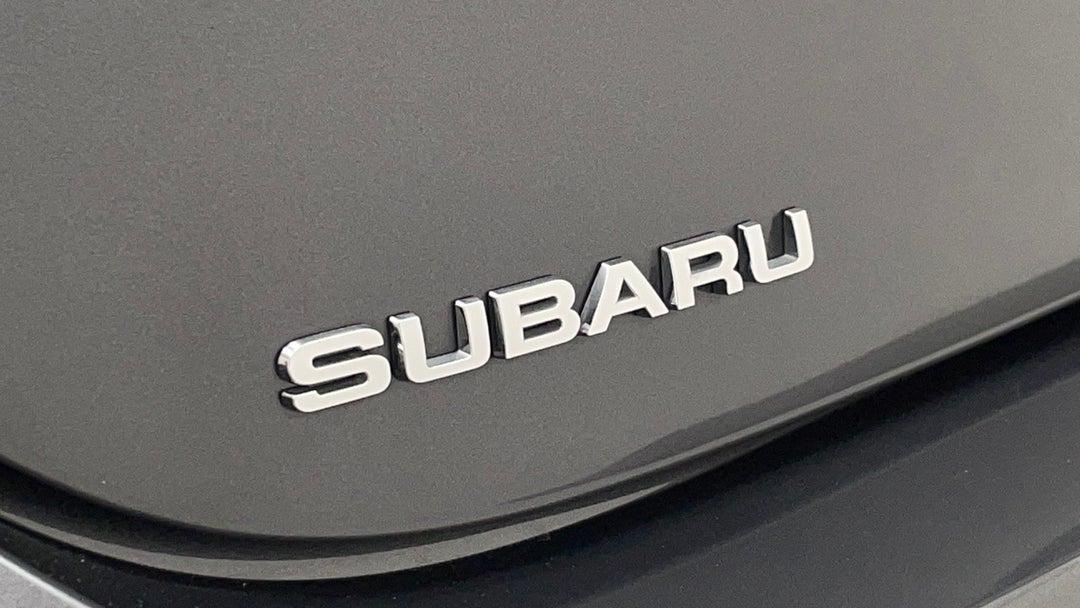 Badge (Boot Left Side)