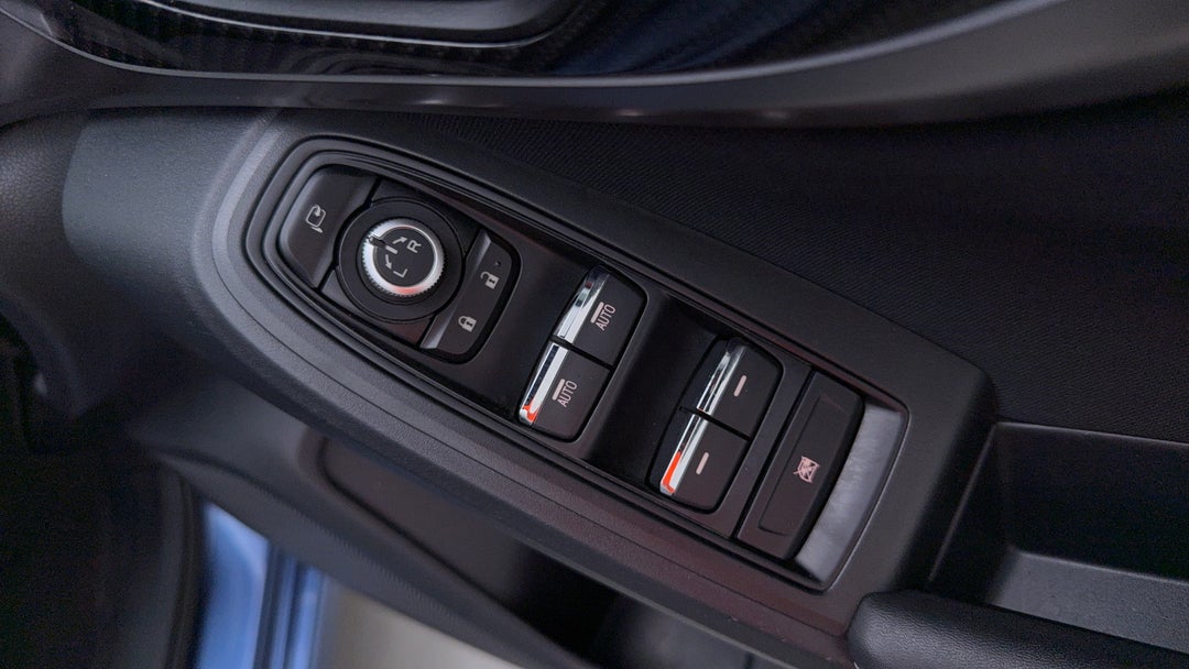 Drivers Side Door Panel Controls