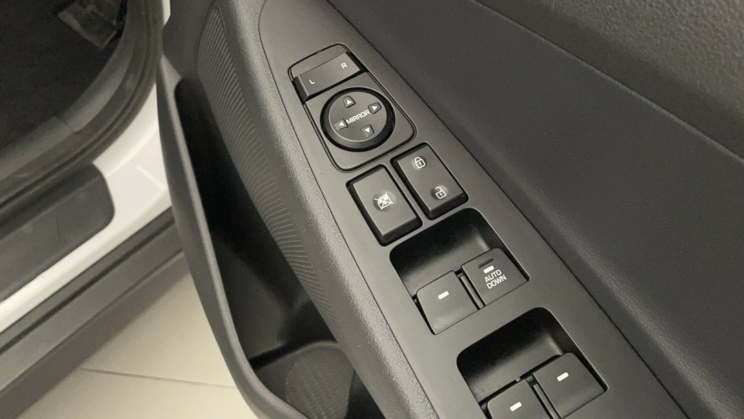 Drivers Side Door Panel Controls